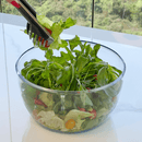 Lava e Seca Salada e Frutas 5 Litros Oxo