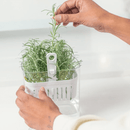 Organizador Pote para Temperos Frescos Clear Fresh 1,5 Litros